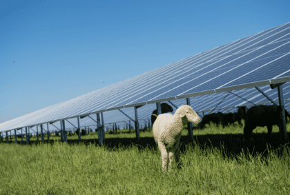 BayWa r.e. to build UK’s largest solar farm in 2023
