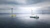 Momentum with floating offshore wind farm developer