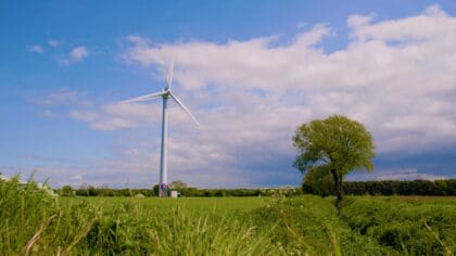 Government measures to reinvigorate the onshore wind sector are met with a mixed response.