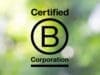 Clade Engineering celebrates B Corp Certification.