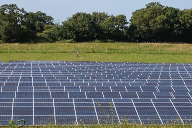 Solar farm